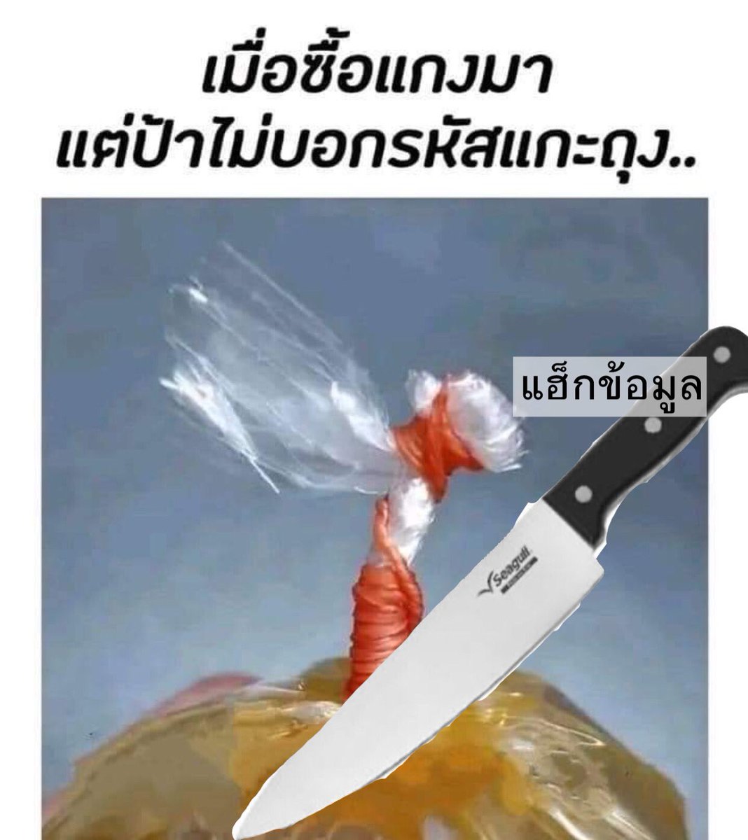 saran tweet media