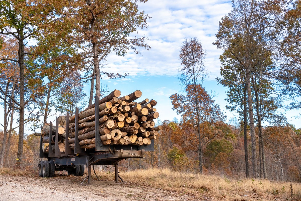 WayneNationalFS's tweet photo. The @ForestService is providing $500,000 to support wood innovation projects in Ohio - because healthy forests depend on a healthy forest products economy.

To learn more: https://t.co/qApj1q0NuY https://t.co/gW2G5p8DWz