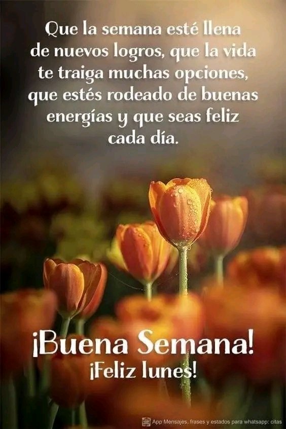 Buenos dias