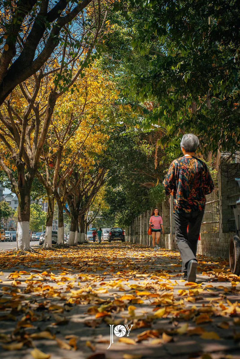 Joy_X_714's tweet photo. #sony #camera #documentary #documentaryphotography #streetsnap #china #color #life  #people #sunshine #tree https://t.co/YUnSJdKhfu
