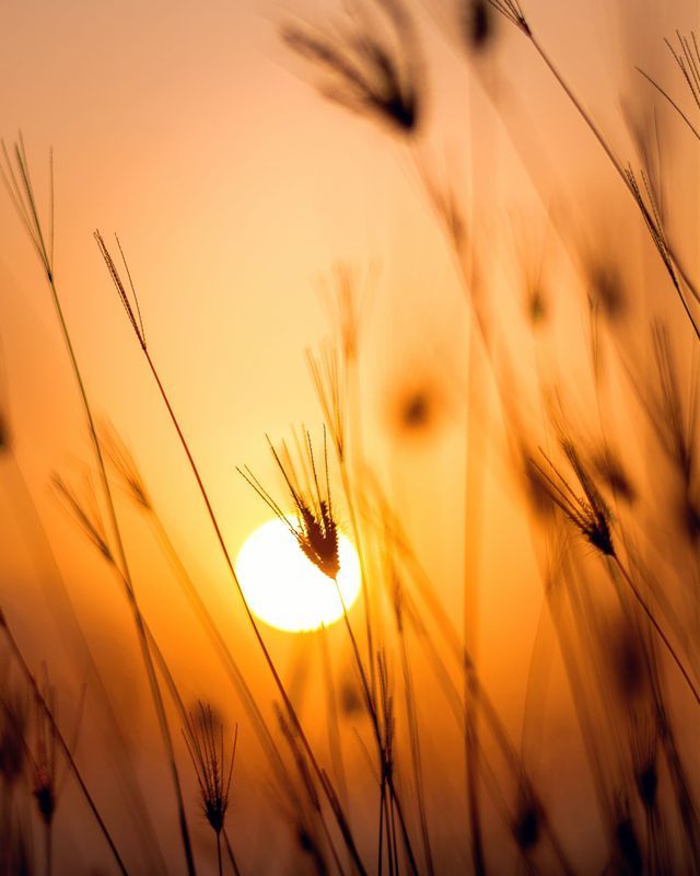 JulieSilber_'s tweet photo. Remember, #culturaladaptation is a journey—a continuous process of discovery, learning, and growth. It requires an open mind, a willingness to step outside our comfort zones, and an eagerness to embrace the unknown. #OpenMind https://t.co/gGNIDG5VEg