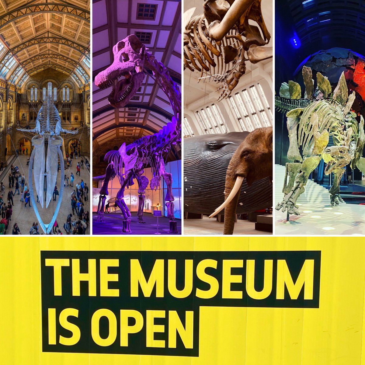 🚨JOB ALERT🚨 Estates Building Services Manager at the wonderful <a href="/NHM_London/">Natural History Museum</a>  🏛️🐋 careers.nhm.ac.uk/templates/CIPH…