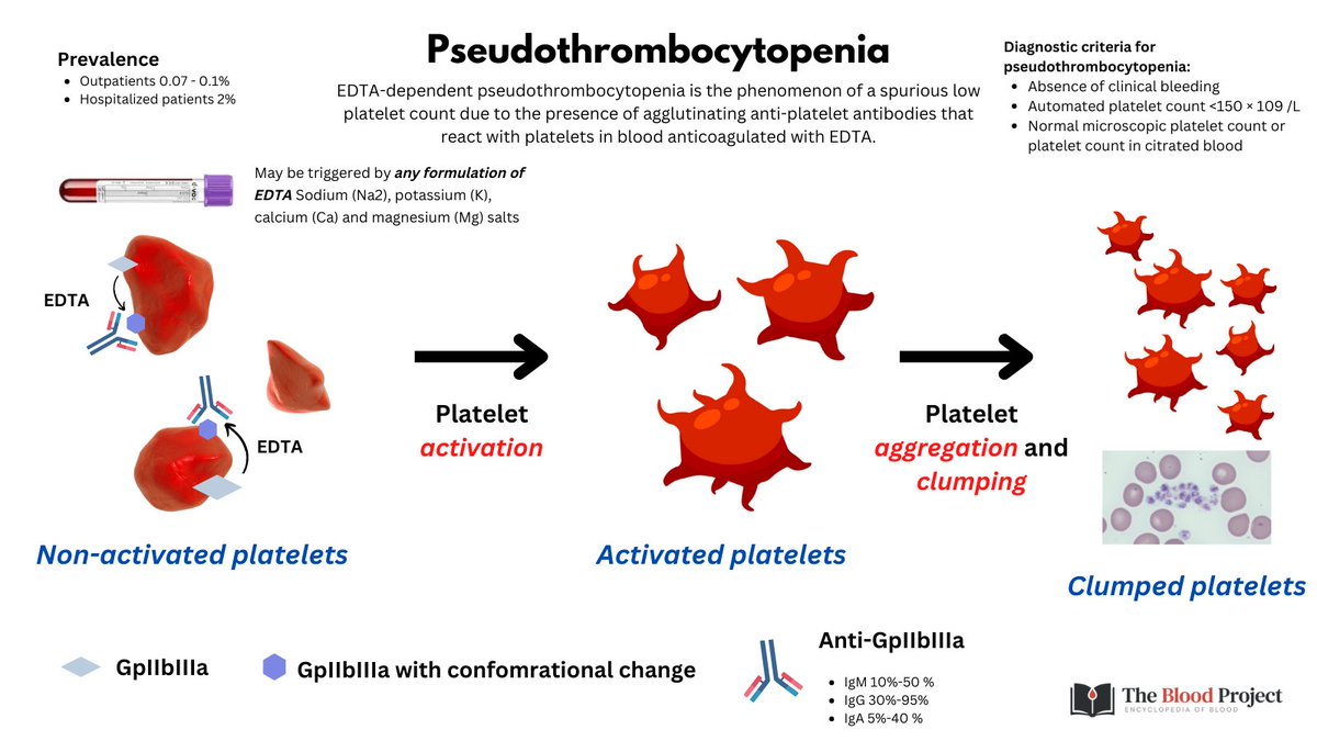 1/5 PSEUOTHROMBOCYTOPENIA I tweeted a poll asking for the next step in