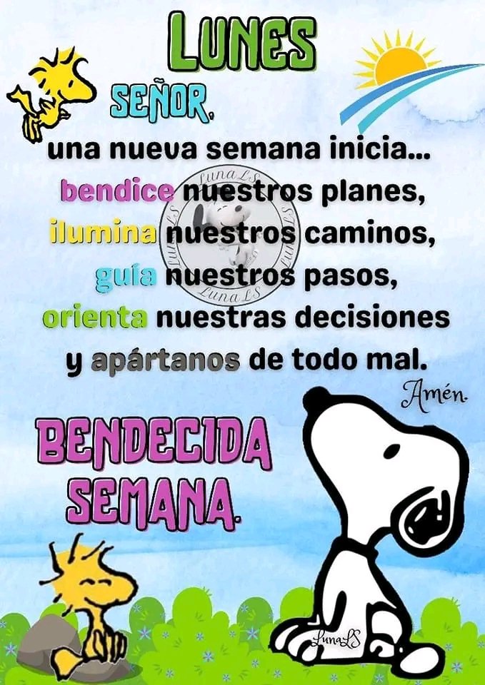 Lindo dia