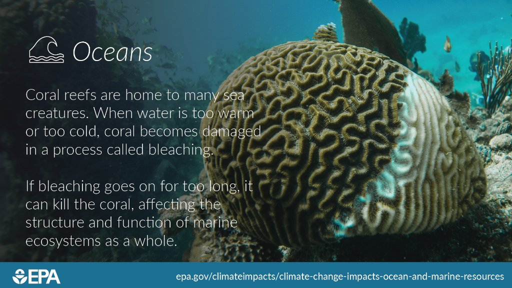 🌊 June is #NationalOceanMonth—the perfect time to learn about and celebrate this vital ecosystem. Visit EPA’s Impacts by Sector pages epa.gov/climateimpacts… to learn how #ClimateChange is impacting oceans and coasts, and stay tuned for more social media snapshots.