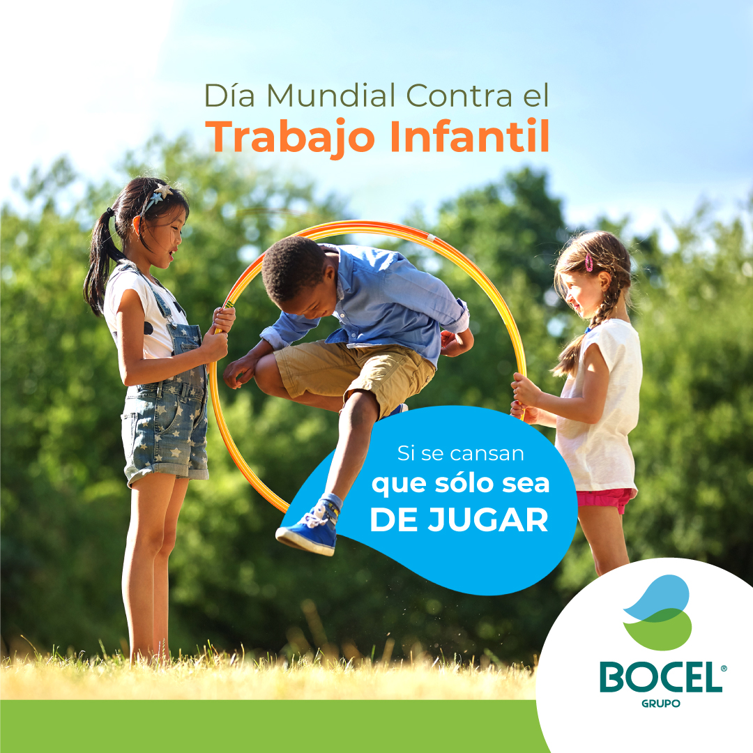 Grupo Bocel tweet media