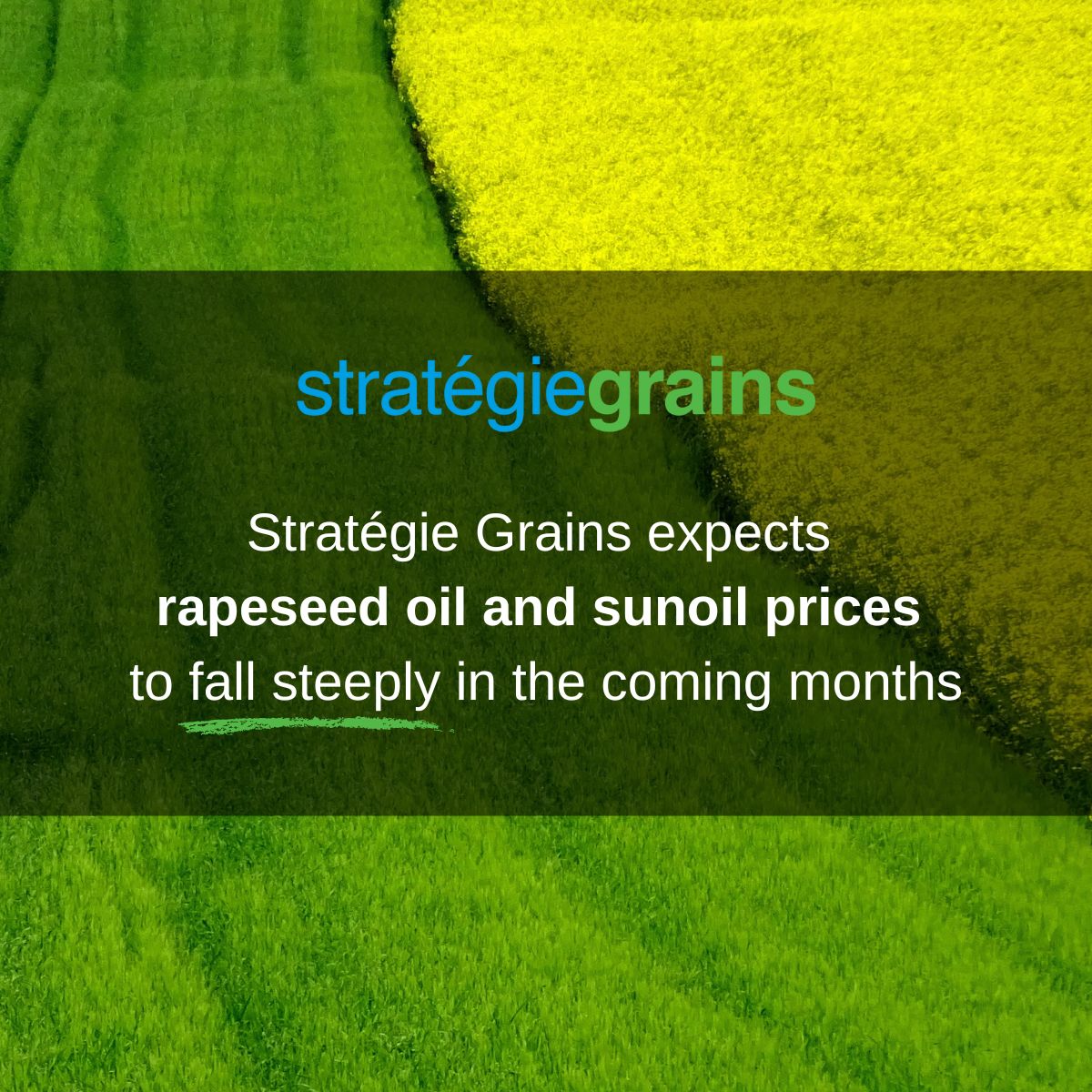 “The larger-than-expected Chinese stockpile reflects weaker demand growth in the country’s food sector, which stems from less dynamic economic growth in China than previously forecast following the end of the country’s zero-Covid policy,” states Hemeline Macret.
