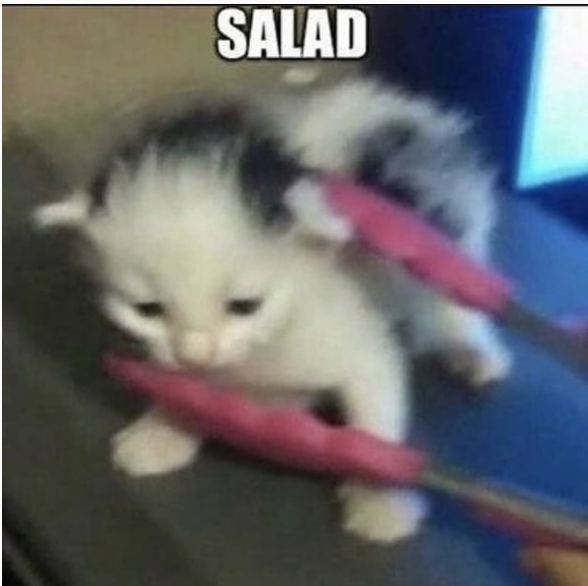 Catwheezie's Stash (@realcattohours) on Twitter photo 