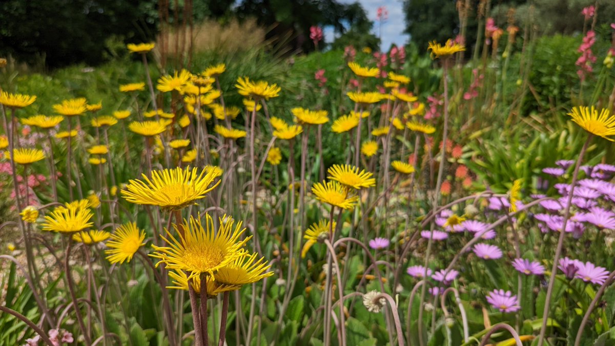 Want to help tackle climate change but don’t know how? This workshop from @climate_fresk will teach you the fundamental science behind climate change and empower you to take action. horniman.ac.uk/event/climate-…