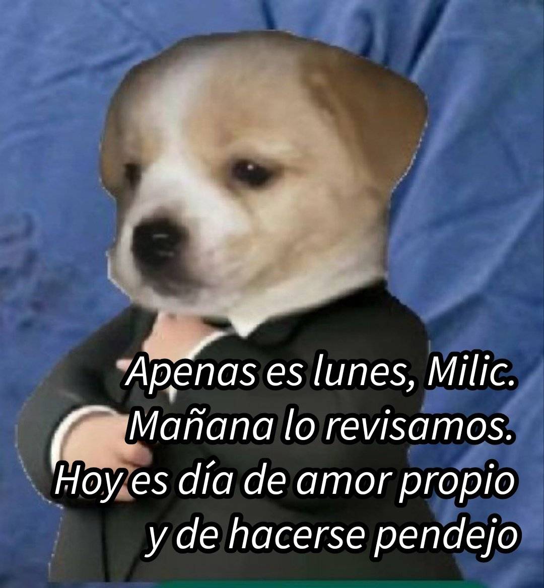 LaBalca's tweet photo. Hoy es San Lunes, entonces ya mañana me doy un tiempecito. 
#MorninPipol #FelizLunes #BuenosDíasAlegría https://t.co/Vgsda5GfXo