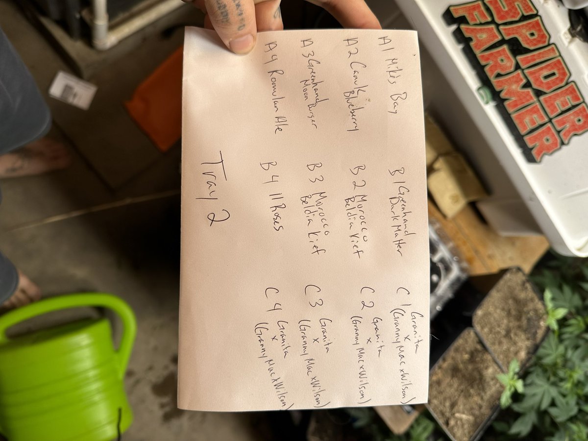 <a href="/spiderfarmerled/">Spider Farmer LED</a> was kind enough to send me a seed starting kit! 

Less than 24 hours and I already have one above soil, and many close behind.