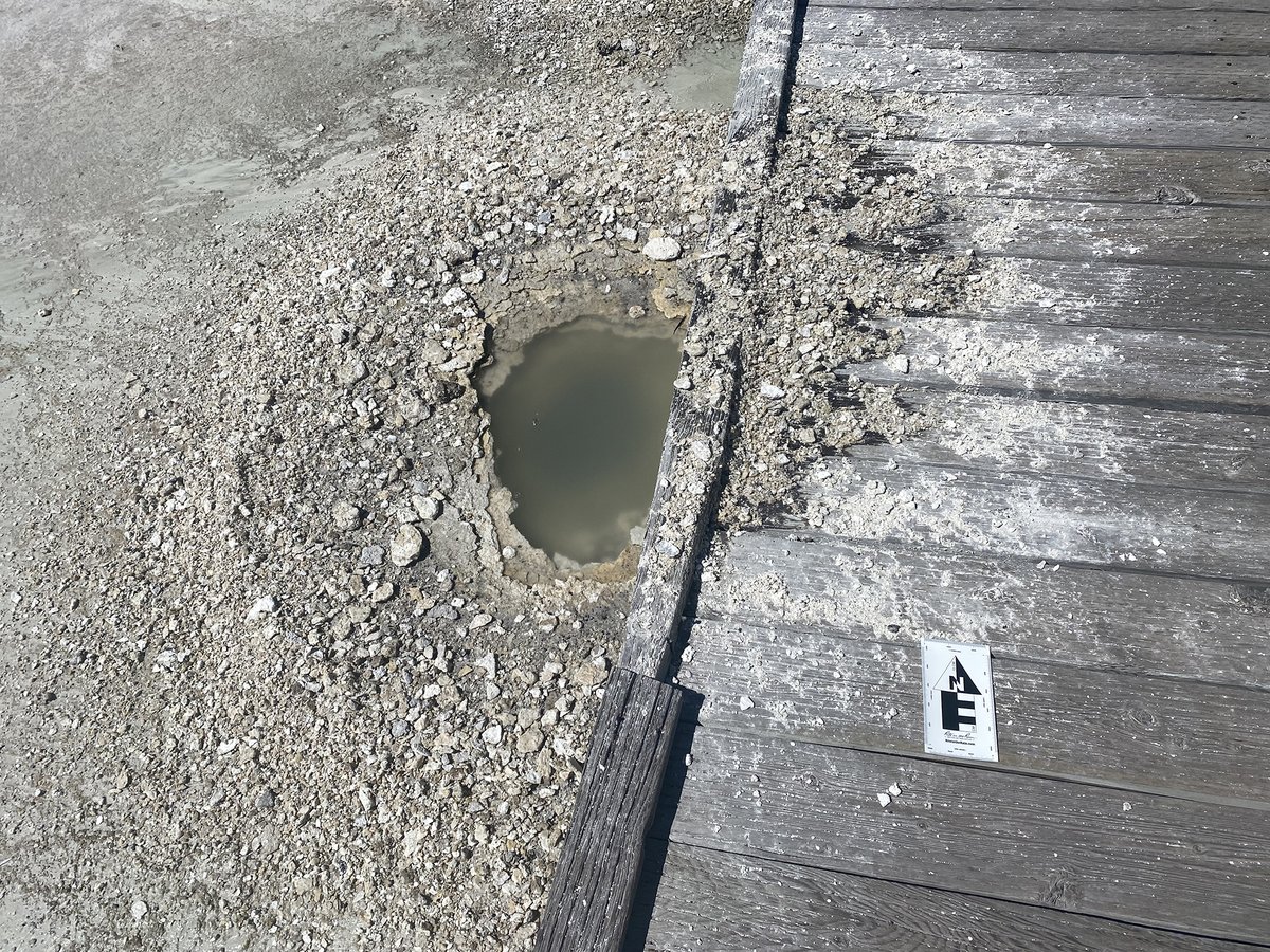 USGSVolcanoes's tweet photo. Geyser Hill, near Old Faithful, has experienced some recent changes, with a general increase in thermal and geyser activity that resembles changes that occurred in September 2018.  #Yellowstone #CalderaChronicles has the scoop!

https://t.co/z19TVVilyE https://t.co/wrC7DguTEi