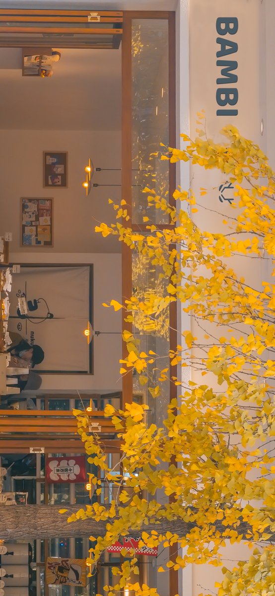 The world is beautiful, what is not beautiful is our hearts.