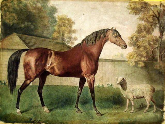 HORSERACING1002's tweet photo. BUSKIN ๐บ๐ธ1910
(HAMBURG - SLIPPERS BY MEDDLER)#Buskin
B/ Harry Payne Whitney 1910 Gelding
O/T John Whalen
Bowie H, Canadian Derby, Metropolitan H, Preakness S, Hamilton Derby
2nd Brooklyn H, Bowie H, Susquehanna H, Toronto Cup, Dixie H, Windsor Hotel Cup, Belair H, https://t.co/pm7k7o7Epb