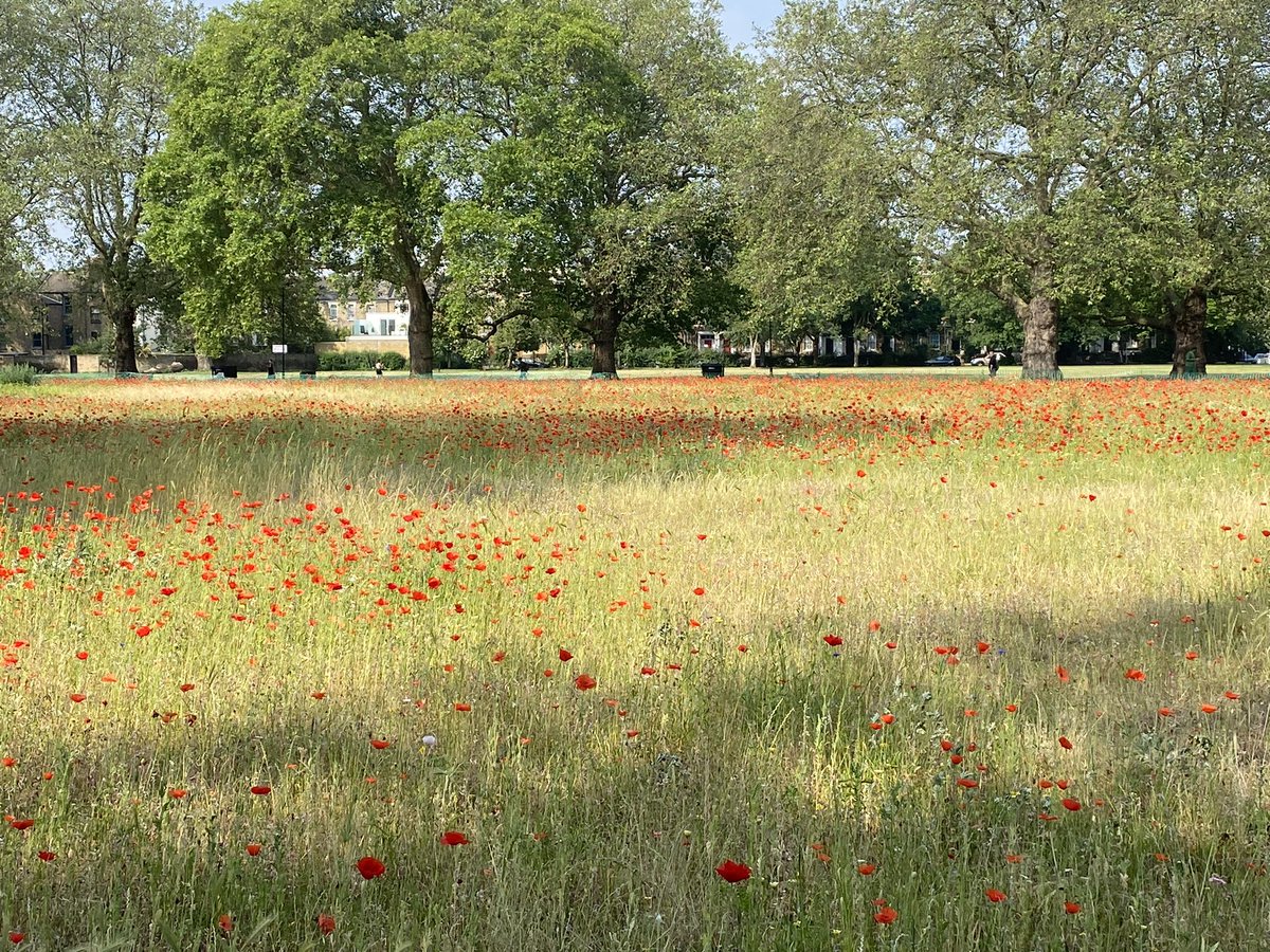 JoeWalkerUK's tweet photo. This is Hackney at its best as we make our Climate Action Plan a reality by investing in the biodiversity of our green public spaces. #LondonFields #HackneyParks #ClimateActionPlan @hackneycouncil @HackneyLabour @carowoodley @metecoban92 @mayorofhackney https://t.co/exniIzxbSy