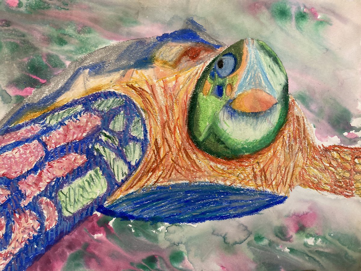 Hillsdale Art Studio tweet media