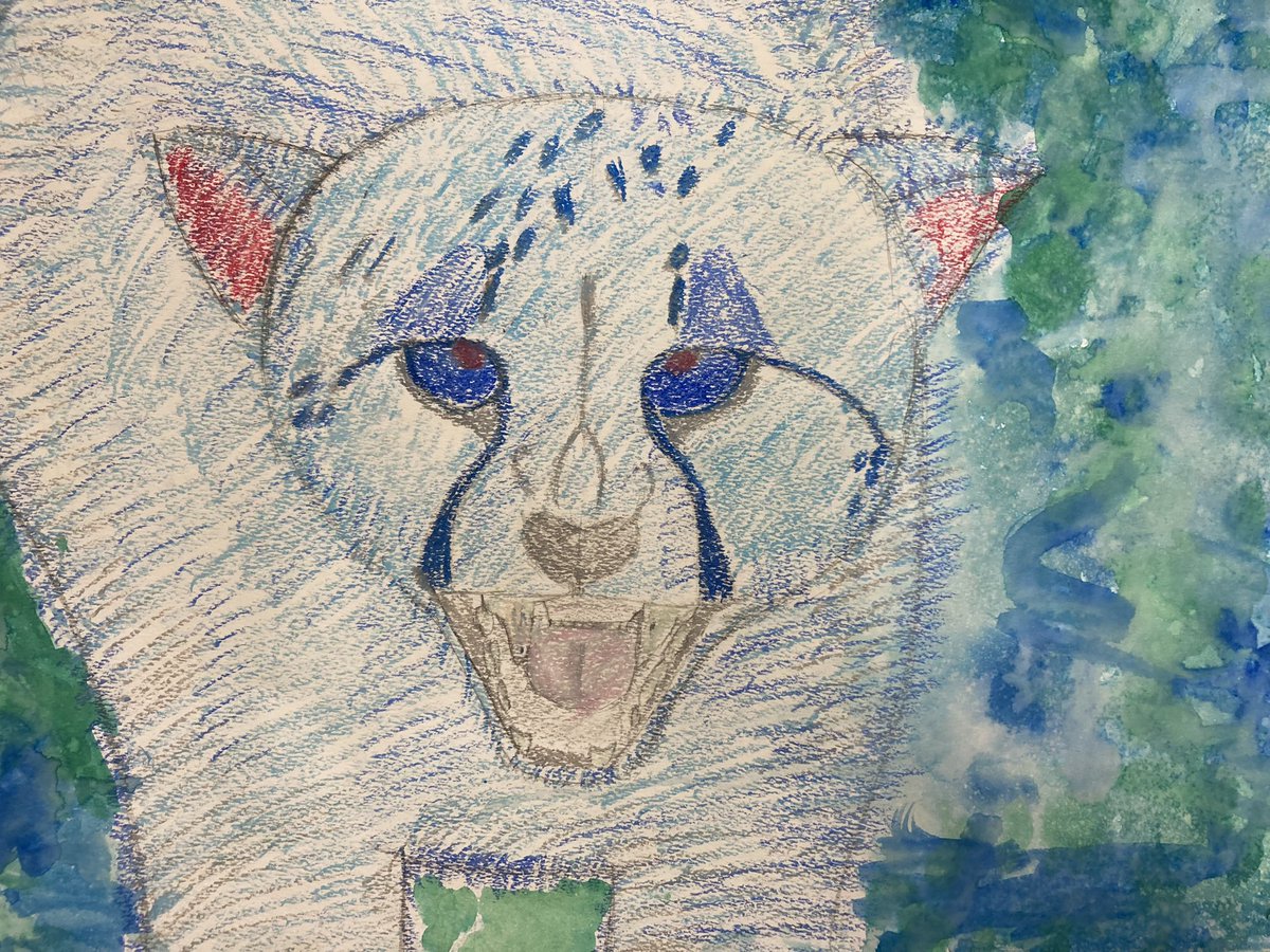 Proud of these talented 6th gr. FAUVISTS! 
Oil pastel &amp; liquid watercolor
@RSDNJArts <a href="/RSDsmithschool/">Smith Middle School</a>