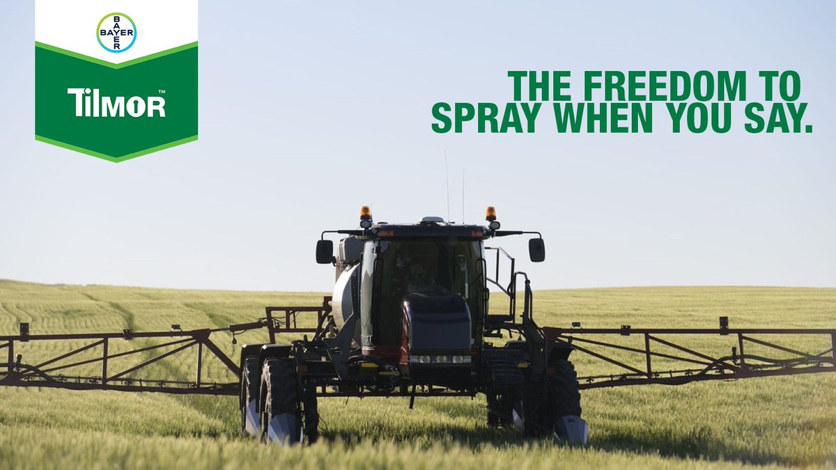 Bayer4CropsCA's tweet photo. Your flex timing specialist 💪
Spray from flag leaf to heading with #TilMOR fungicide, providing control of leaf diseases, suppression of fusarium head blight and reducing DON levels.
#ItsGrowTime 👉 https://t.co/hO9d9kVtpI https://t.co/u5dvP3lteV