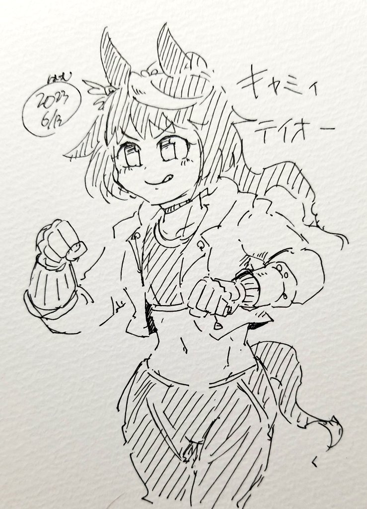 究極テイオーフーリガンコンビネーション