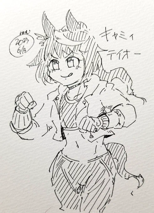 究極テイオーフーリガンコンビネーション