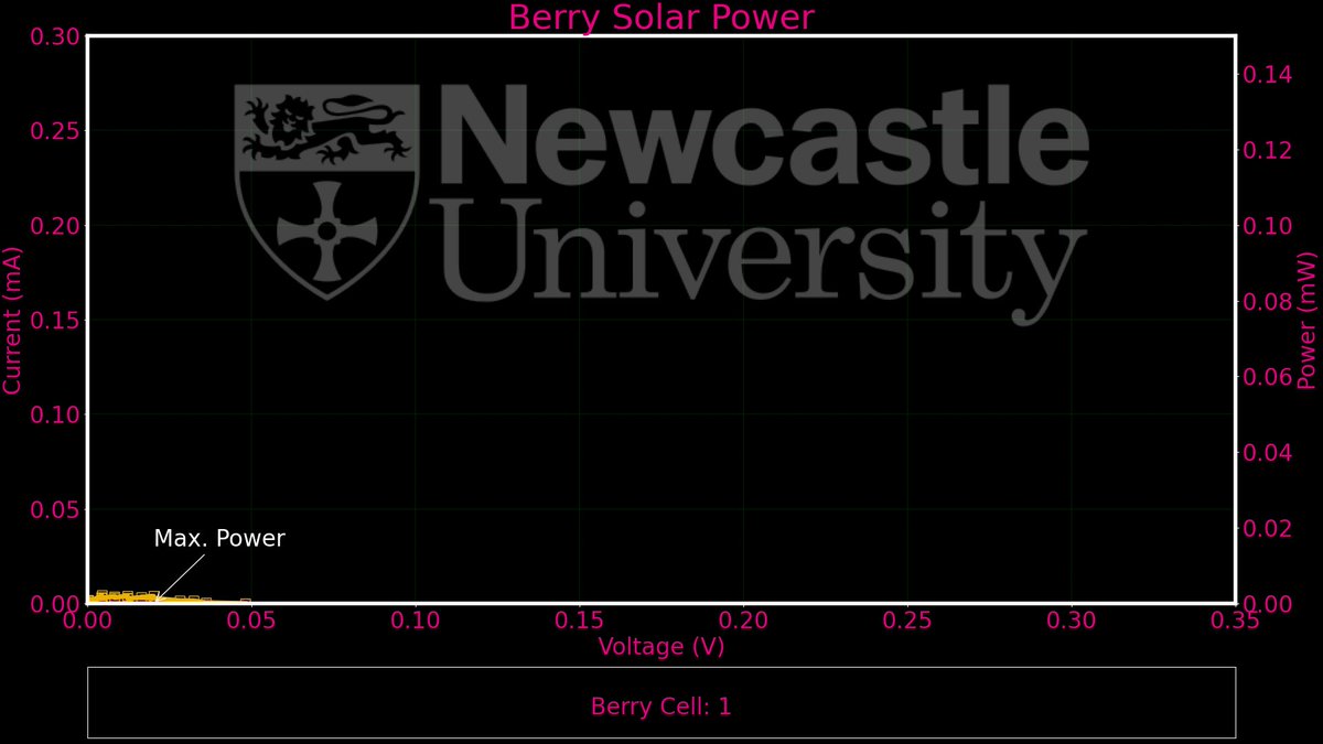 Berry Solar Cells for Berry Future tweet media