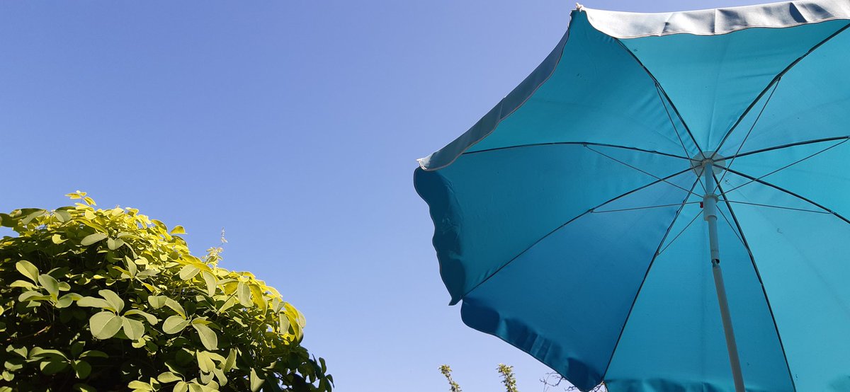 That's the view aha aha I like it,I like it 🎵😍