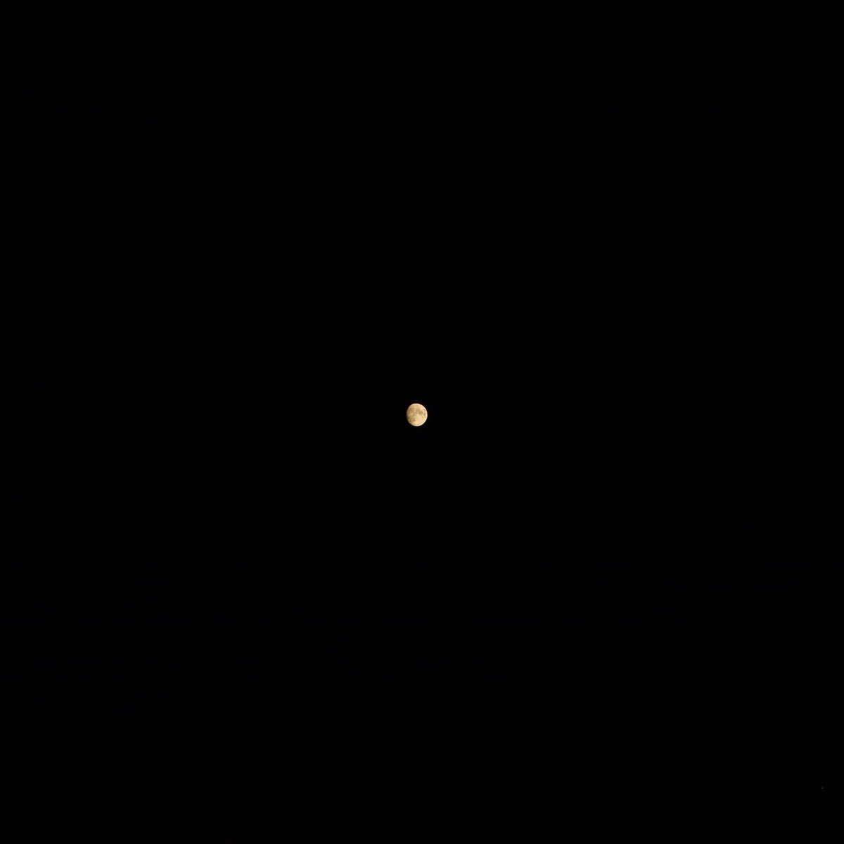 Undead at Heart tweet media