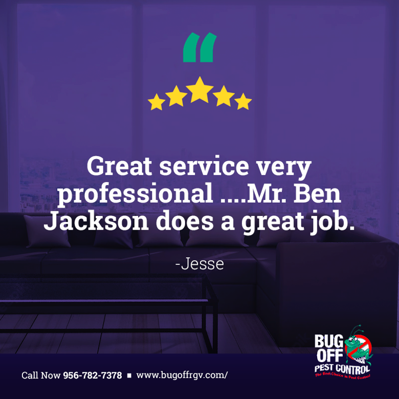BugOffRGV's tweet image. We're so glad to hear that you had a great experience with us. Thanks for taking the time to share your positive feedback with us, Jesse!