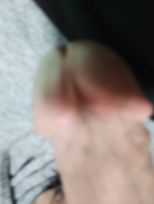 久しぶりに自分のちんこ写メした。 https://t.co/K3t13IaaGR
