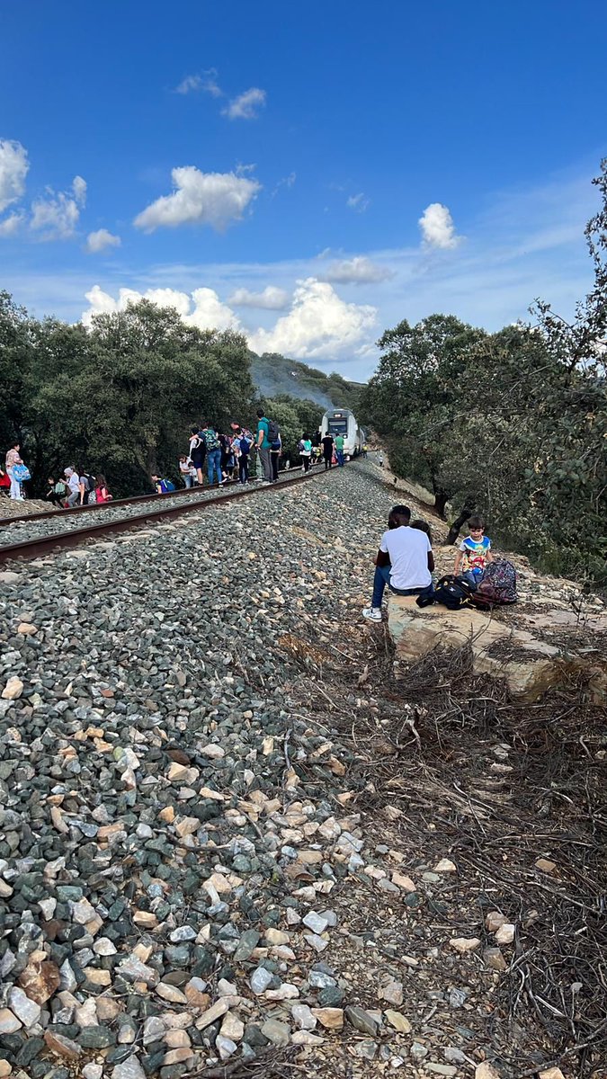 RomeraElena's tweet photo. @todoesmentiratv faltáis vosotros por haceros eco de la enésima desventura del tren extremeño. Esta vez con 74 menores entre 18 meses y 8 años procedentes de una excursión escolar. La vergüenza es cada vez mayor https://t.co/N7ghHi01ZB