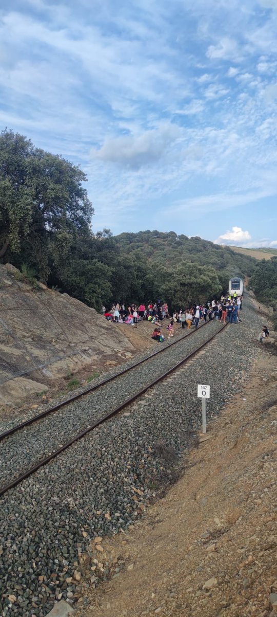 RomeraElena's tweet photo. @todoesmentiratv faltáis vosotros por haceros eco de la enésima desventura del tren extremeño. Esta vez con 74 menores entre 18 meses y 8 años procedentes de una excursión escolar. La vergüenza es cada vez mayor https://t.co/N7ghHi01ZB