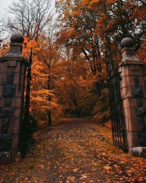 aperfectpumpkin's tweet photo. 141 days until Halloween! https://t.co/2uj9j8Ysh0