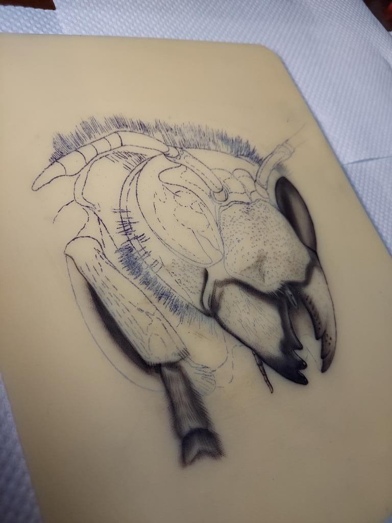 Godblesstattoo9's tweet photo. Wasp

Progress

#タトゥー
#タトゥーモニター
#タトゥー女子
#ワンポイントタトゥー
#刺青
#刺青モニター
#和彫り
#洋彫り
#鎌ヶ谷タトゥー
#柏タトゥー
#松戸タトゥー
#白井タトゥー
#印西タトゥー
#市川タトゥー https://t.co/Up33hSVl8L