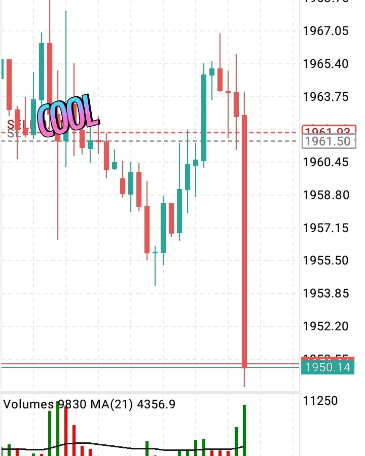 Riding the charts 📉 seizing the Golden opportunities 🚀

#ChartRider #GoldSell #TradingOpportunities #MarketAnalysis #SmartMoves #Forex #Pips #XauUsd #TradingLife #Hustle #NeverGiveUp #CobraTate #PriceAction #ChartAnalysis #Candlesticks