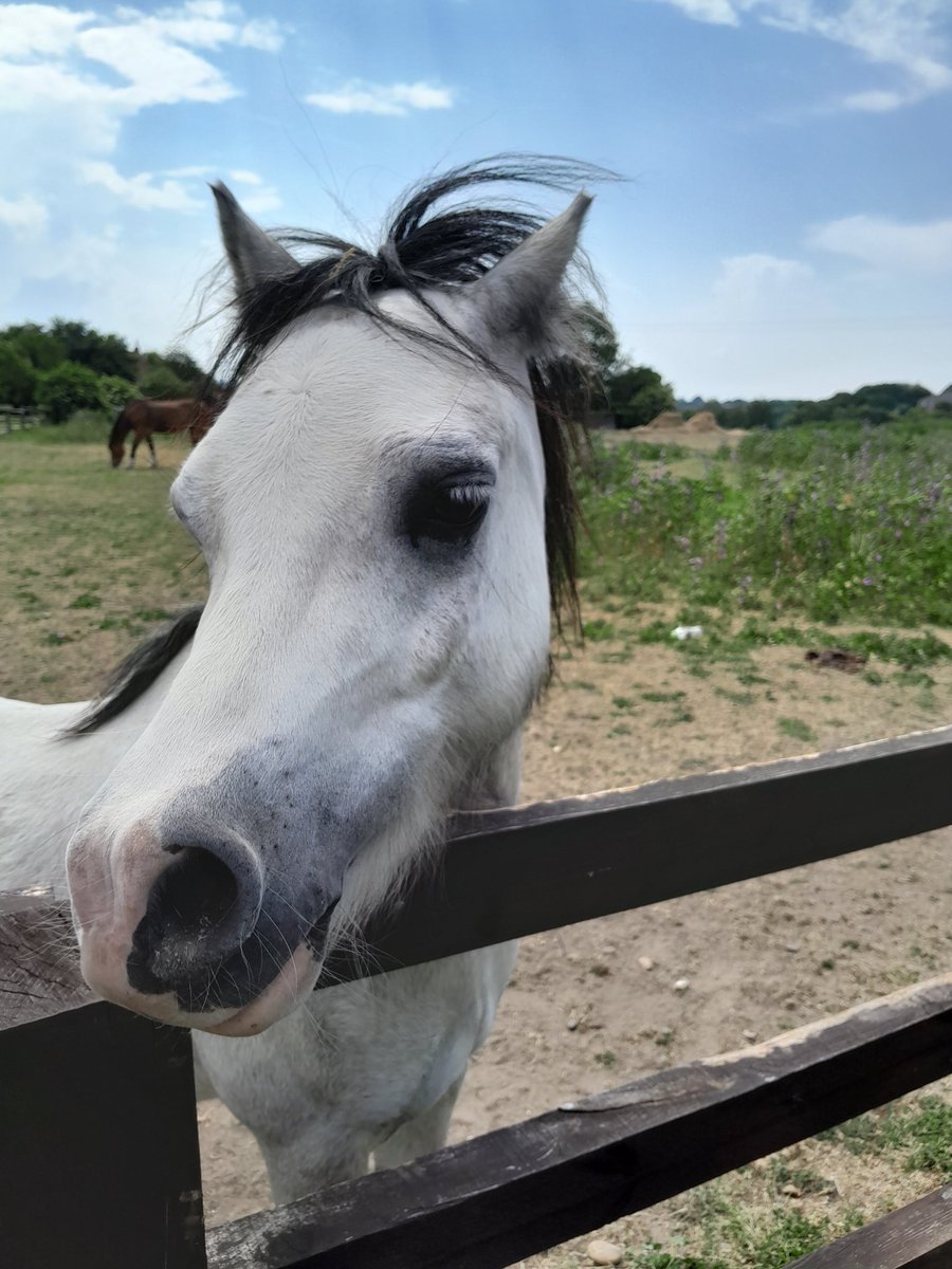 Jack Espin tweet media