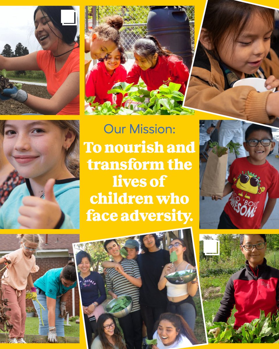 Newman's Own Foundation (@newmansownfdn) on Twitter photo Today and every day, our priority is improving the lives of children who face adversity.๐
@chefannfnd
@sicanguco
@foodwhatfarm
@foodcorps
<a href="/soulfirefarm/">Soul Fire Farm</a>
#NewmansOwnFoundation #LetsGiveItAllAway #100PercentForKids Today and every day, our priority is improving the lives of children who face adversity.๐
@chefannfnd
@sicanguco
@foodwhatfarm
@foodcorps
<a href="/soulfirefarm/">Soul Fire Farm</a>
#NewmansOwnFoundation #LetsGiveItAllAway #100PercentForKids