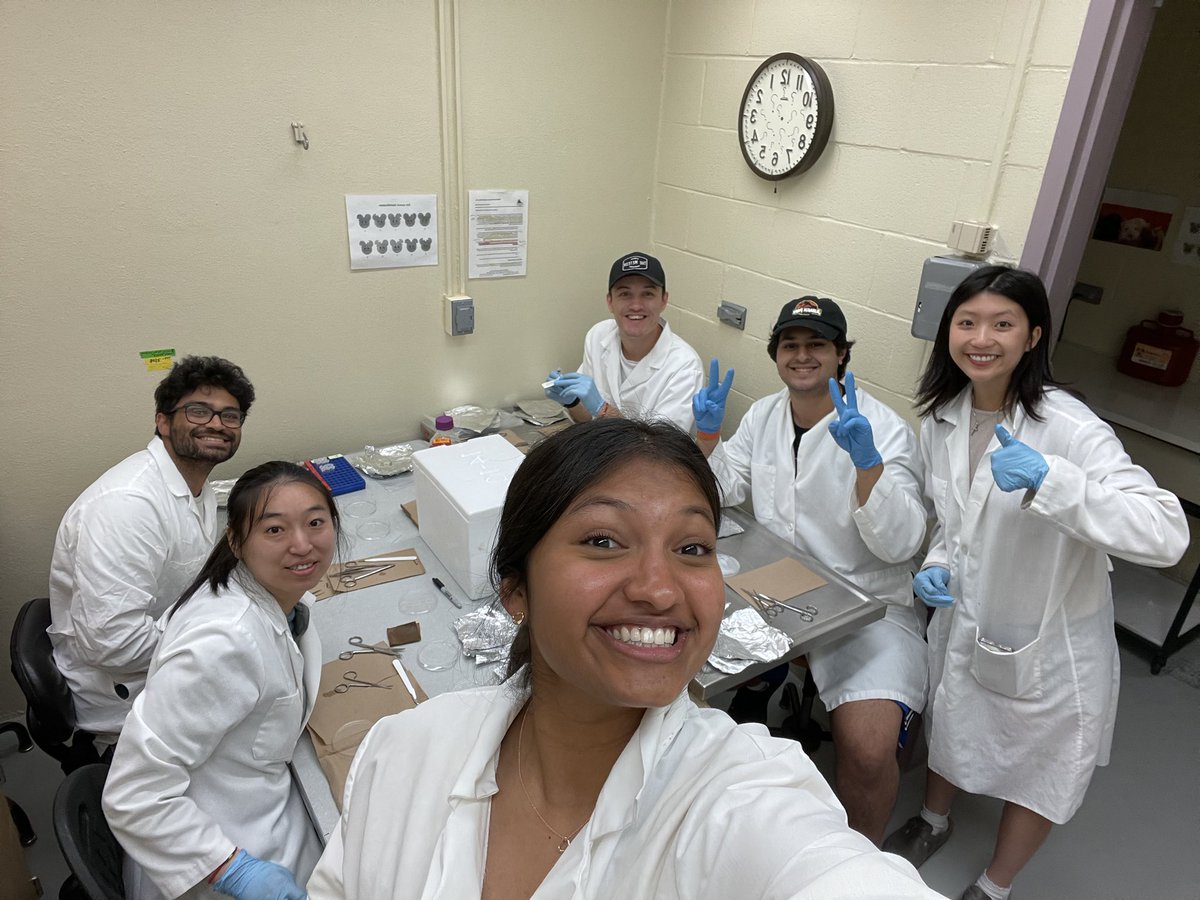Whole lab effort this weekend collecting tissue for our timed-exercise project. Thank you to Jin (grad student), kush, kaushik, Anna, Mariam (UG’s) and <a href="/s8shogo/">Shogo Sato</a>! <a href="/TAMU_CBCR/">TAMU Center for Biological Clocks Research</a>
