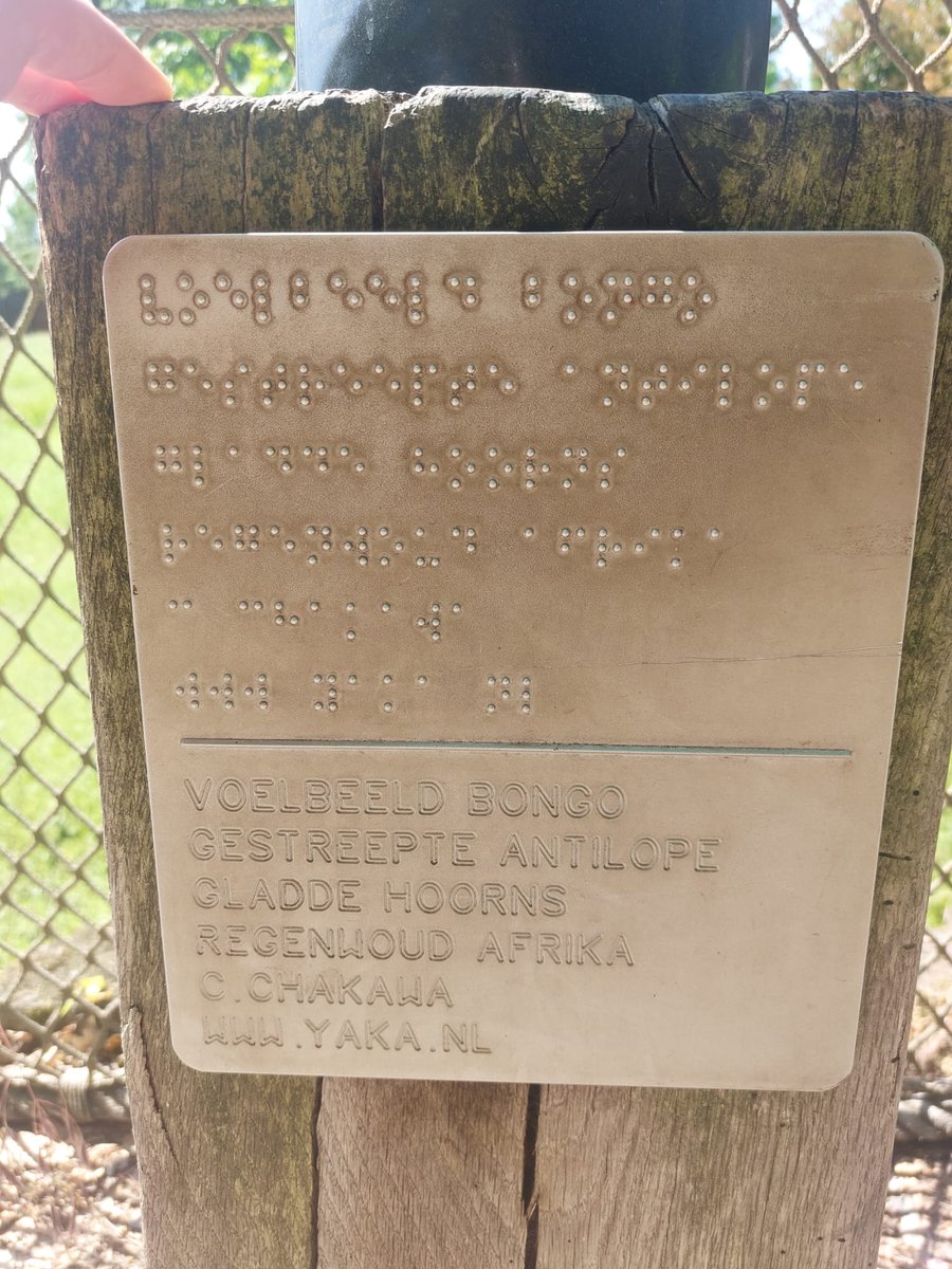 Onze collega spotte dit mooie voorbeeld van inclusie. In <a href="/GaiaZOO/">GaiaZOO</a> in Kerkrade hebben ze voelbeelden, bijvoorbeeld van deze Antilope!