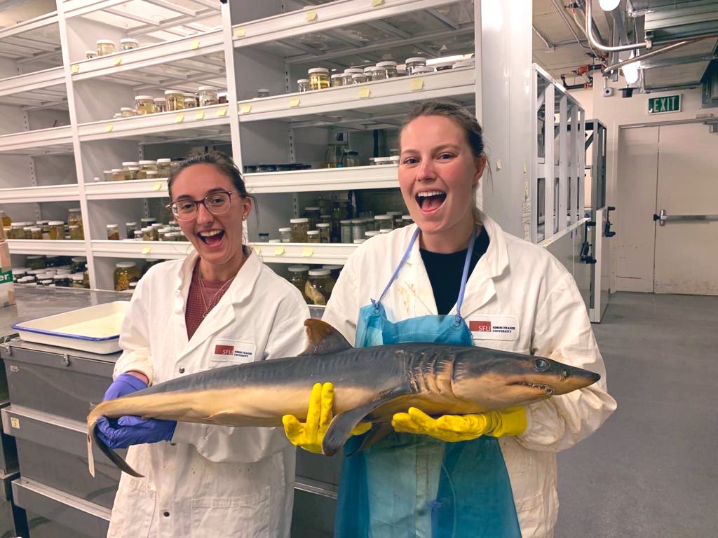 Amanda Arnold 🦈✨ tweet media