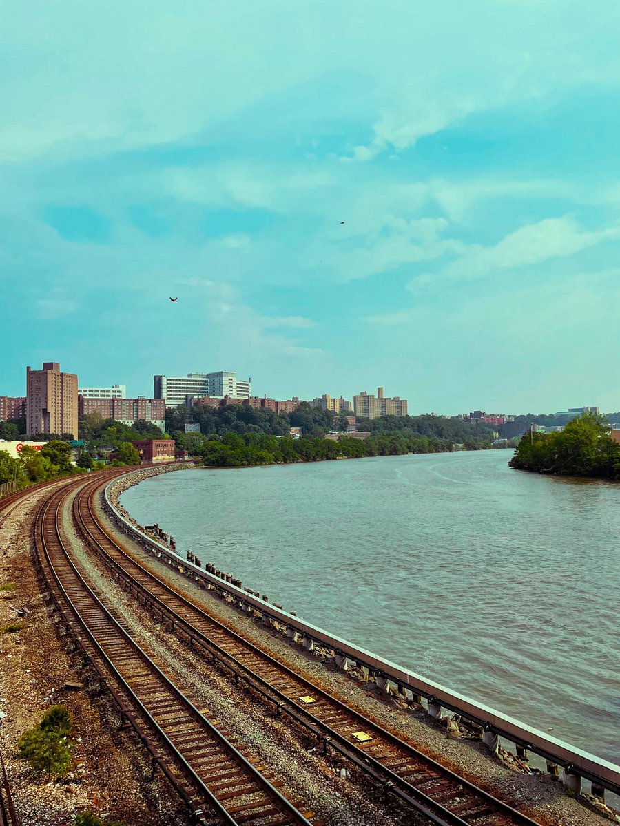 YzeppaK's tweet photo. Learning to go with the flow 💚✨ #newyork #harlemriver https://t.co/ugSKxrITO4