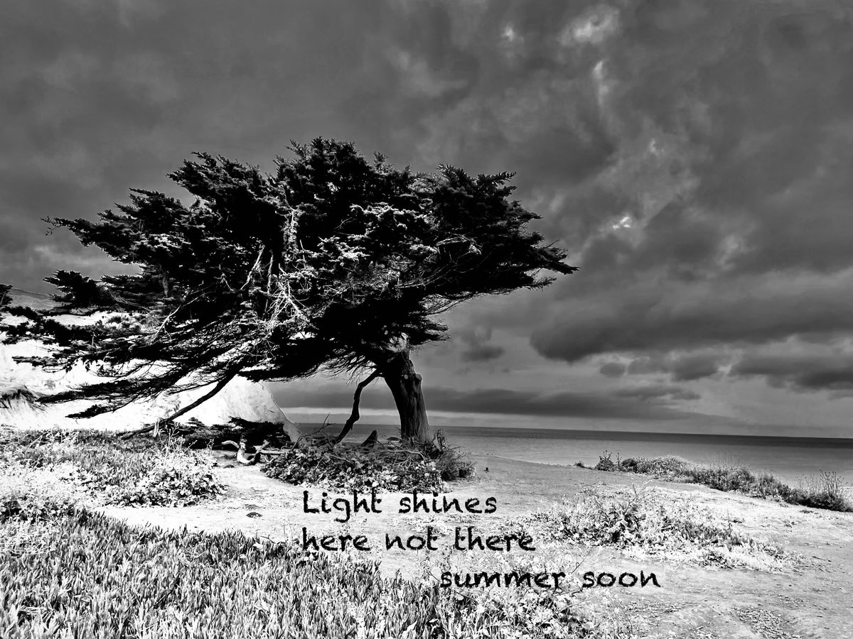 light shines 
here not there
summer soon

#haiga #haiku #senryu #poetry #micropoems #photography 
 #俳句 #Shahai