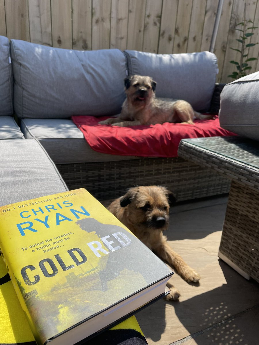 H8GGD's tweet photo. @ChrisRyanMM the boys are enjoying the latest read 📚 https://t.co/DZUkzhXp10