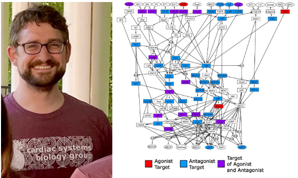 Jeff Saucerman (@jsauce7) on Twitter photo Very proud of <a href="/tayloreggertsen/">Taylor Eggertsen</a> for publishing his first paper, "Virtual drug screen reveals context-dependent inhibition of cardiomyocyte hypertrophy"! His network model predicts 52 FDA-approved drugs that regulate heart cell growth. bpspubs.onlinelibrary.wiley.com/doi/abs/10.111… Very proud of <a href="/tayloreggertsen/">Taylor Eggertsen</a> for publishing his first paper, "Virtual drug screen reveals context-dependent inhibition of cardiomyocyte hypertrophy"! His network model predicts 52 FDA-approved drugs that regulate heart cell growth. bpspubs.onlinelibrary.wiley.com/doi/abs/10.111…