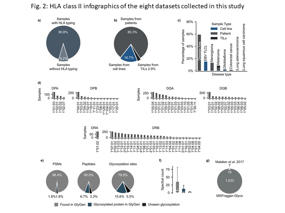 Unraveling the glycosylated immunopeptidome! Here we describe our HLA-Glyco workflow in #FragPipe, a web resource based on eight large mass spec based immunopeptidome datasets (over 3,400 HLA class II N-glycopeptides), and several interesting observations.
nature.com/articles/s4146…