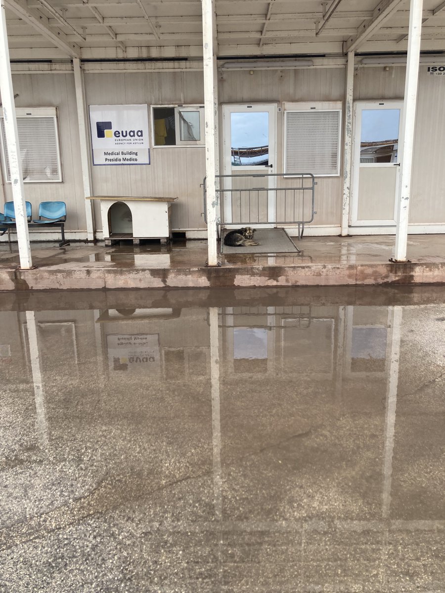 Oggi in visita sul campo all'#Hotspot di Taranto con i ragazzi che frequentano il Jen Monnet Lab sulla tutela dei #diritti nelle zone di #frontiera

Presto pubblicheremo un report di ricerca frutto del lavoro collettivo svolto insieme a studenti e dottorandi <a href="/unibait/">Uniba.it Aldo Moro</a>