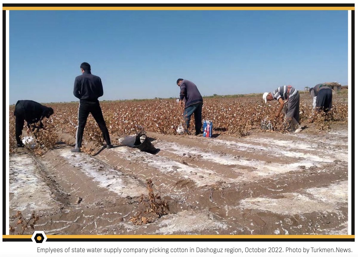 cottoncampaign's tweet image. “#StateImposedForcedLabor in the #cotton harvest and exploitation of farmers are not an anomaly in #Turkmenistan,” said Farid Tukhbatullin, Chairperson of Turkmen Initiative for Human Rights @hronikatm 1/2