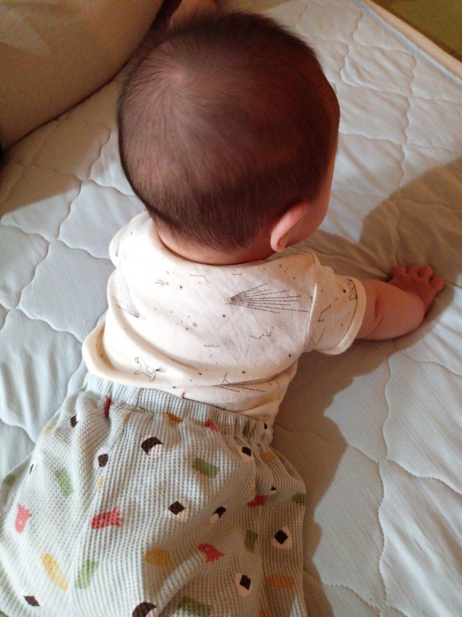 120923_'s tweet photo. 早いもので、今日で5ヶ月になりました。
元気にすくすく成長中 https://t.co/jI6OOwvfhF