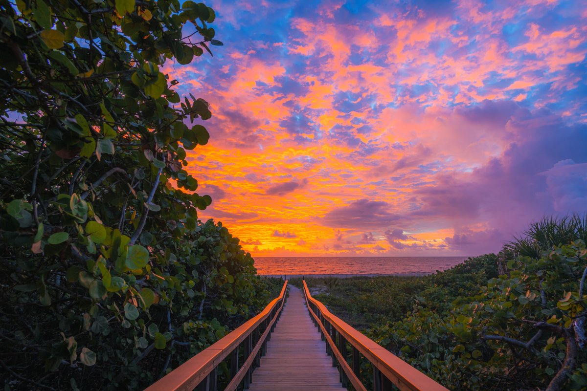 Very excited to announce my genesis drop on foundation is now live! 

"Bridge to Paradise"

1/1 minted on my own manifold contract ERC721

.15 ETH reserve

Appreciate any support 🫶