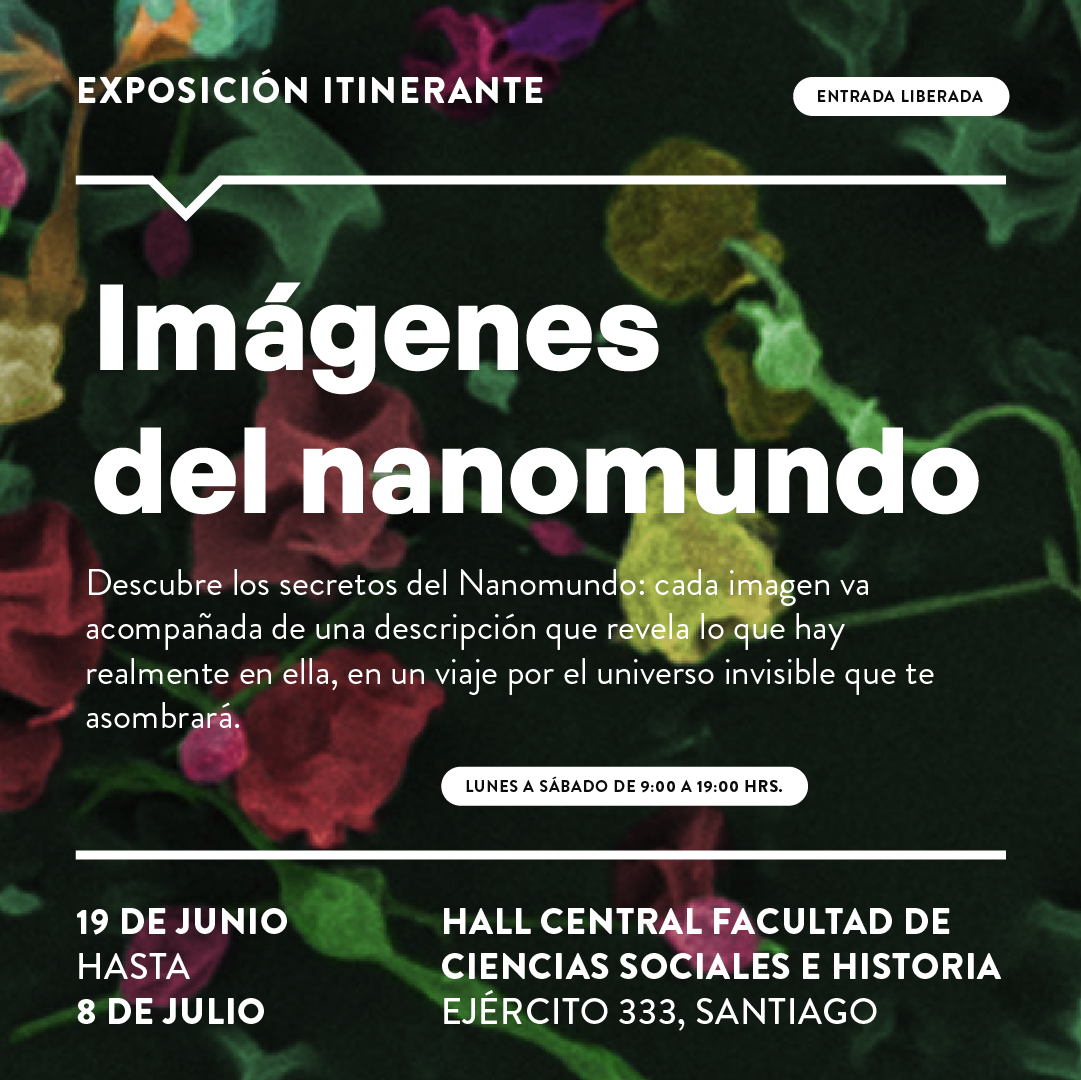 udp_cl's tweet photo. #AgendaUDP | La #UDP junto con el Centro para el Desarrollo de la Nanociencia y Nanotecnología, #CEDENNA, te invitan a la exposición itinerante "Imágenes del nanomundo" 🤩👇
(1/2) https://t.co/kpAsWpEt9d