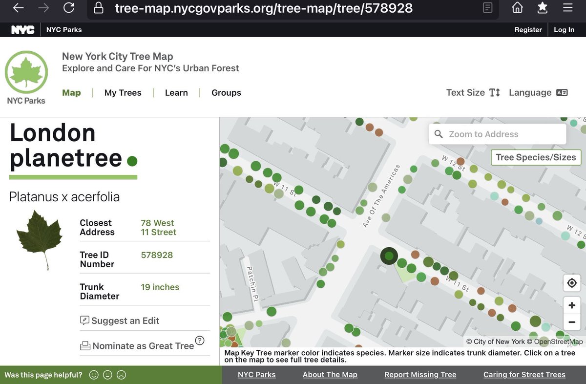 BaxterHogan's tweet photo. #Manhattan #Phillip #W11thSt 🙏

#TreesofNYC #treeBeds #streetTrees #NYC

#Londonplanetree
#PlatanusXacerfolia

@NYCParks 
@NYCGreenThumb 
@TreesNewYork 

https://t.co/nJTKUhPXXS https://t.co/YWXHDUH8cp